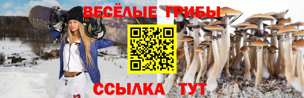 Галлюциногенные грибы Psilocybine cubensis  Вход с VPN  Сердобск  Псилоцибиновые грибы Psilocybe 